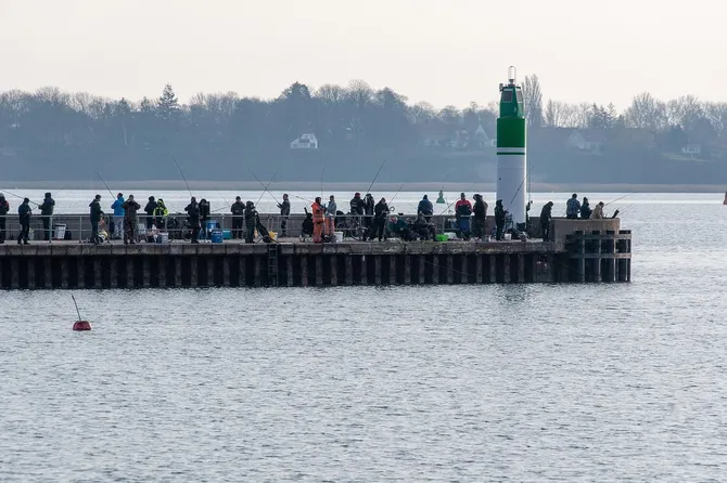 Golfers and Anglers Similar