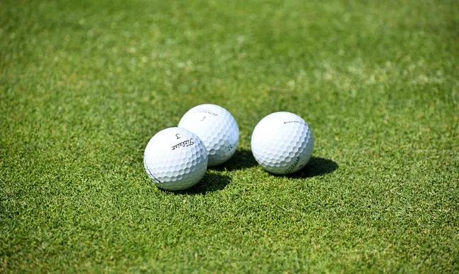 Nutrients You Need as a Golfer
